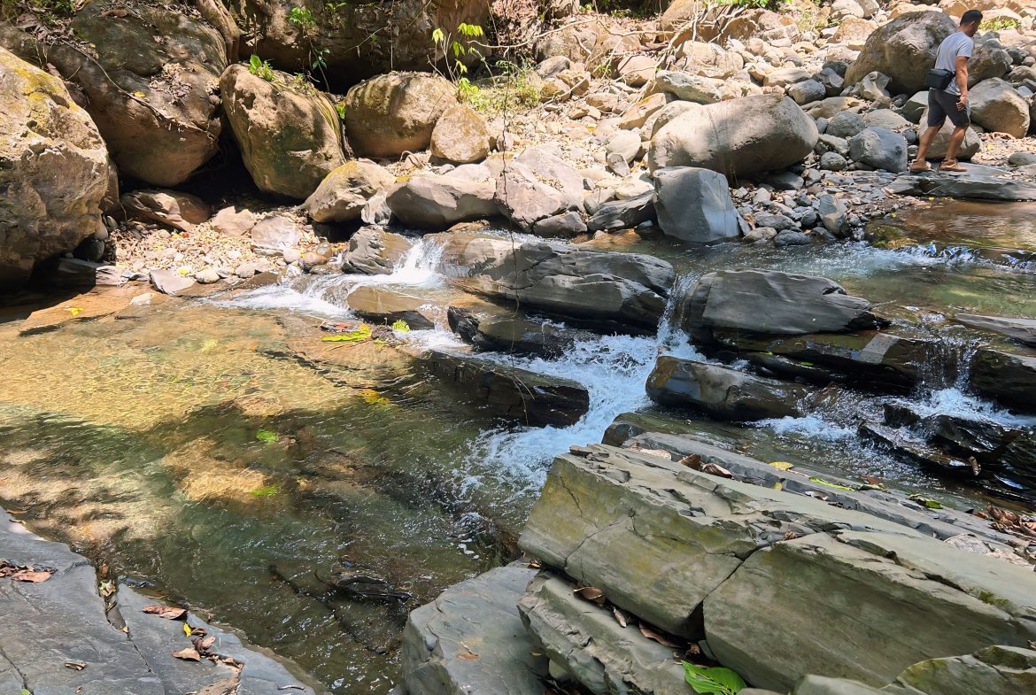 JUNGLE DREAMS FARM: WHERE NATURE MEETS SERENITY – 20 ACRES